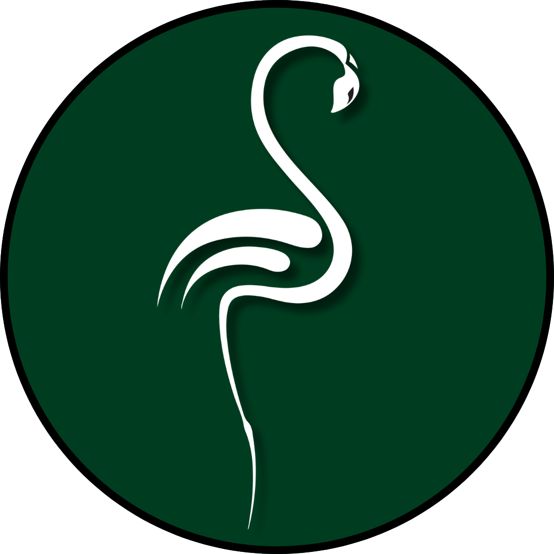 Beyin Cerrahisi Türkiye